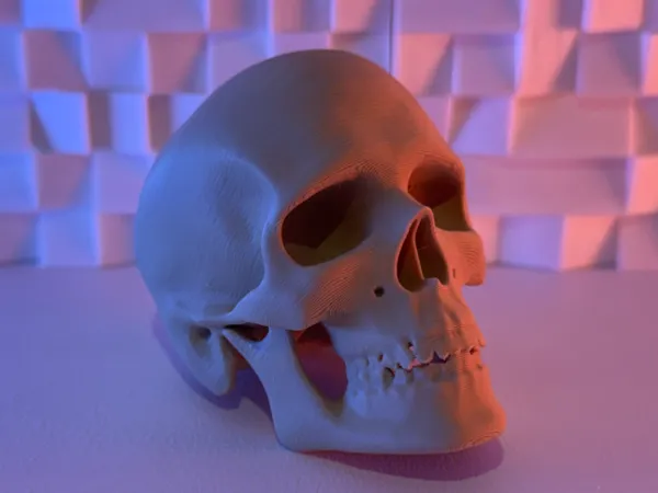 https://makerworld.bblmw.com/makerworld/model/US765f341dac3014/design/2025-07-04_cce9b2e7637.jpeg