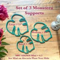 Medium Monstera Support