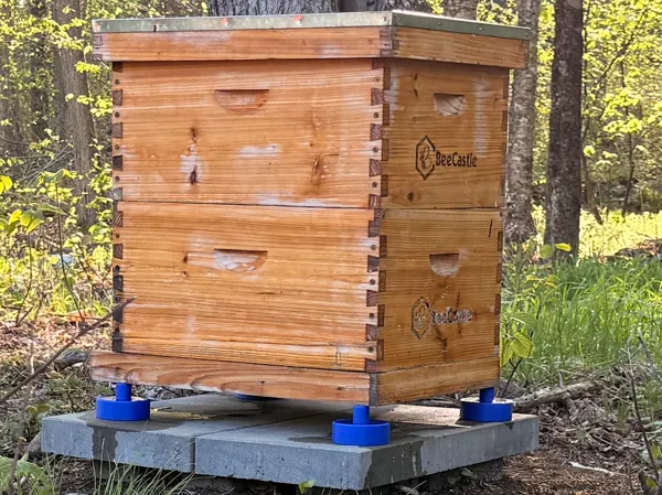 https://makerworld.bblmw.com/makerworld/model/US7663fd4752a9bd/design/803727cd8fb3cdde.jpg