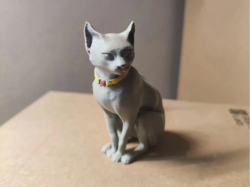端坐的小猫
