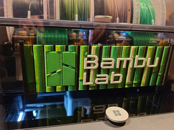 https://makerworld.bblmw.com/makerworld/model/US766866980b3adf/design/2023-12-15_7e8b4ce9dde168.jpg