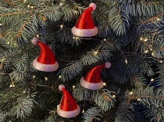 Santa hat