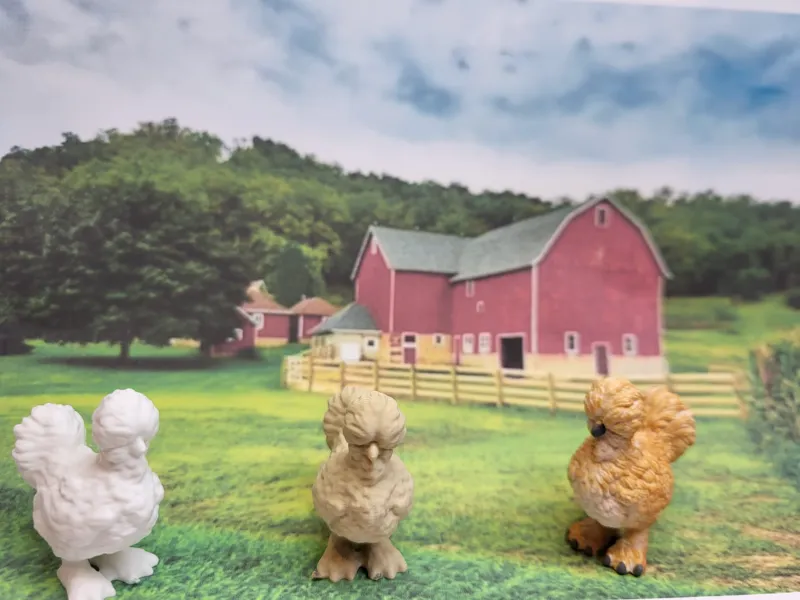 Chicken silkie realistic model no supports