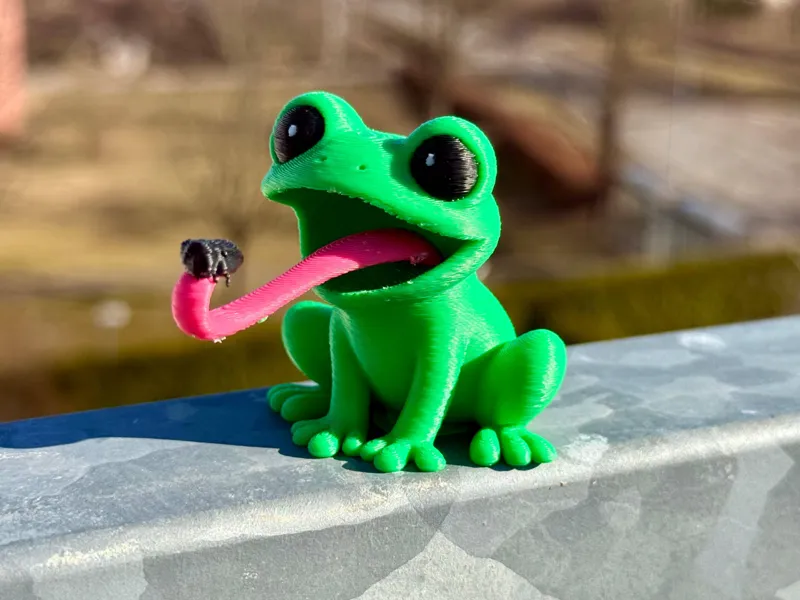 Frog with insect