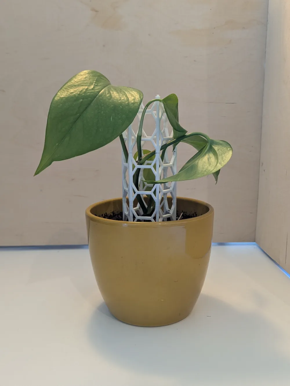 Soporte Plantas Forma De Rana - 3 Piezas, Diseño Divertido, Para Interior Y Exterior, 13.5x6 Cm