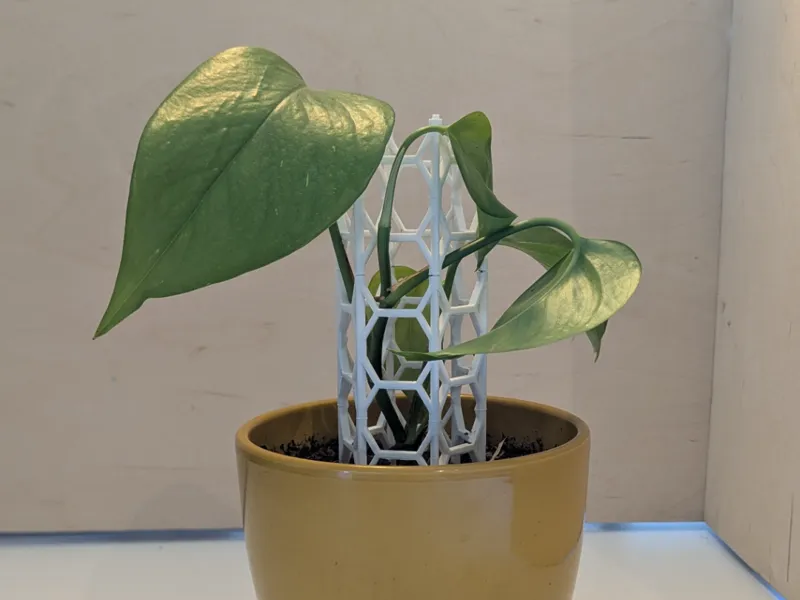 Plant Guide Modular | Support for Hanging Plants