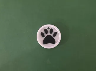 Llavero huella de perro/gato