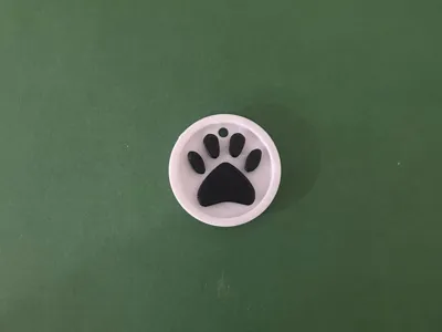 Dog/cat paw print keychain