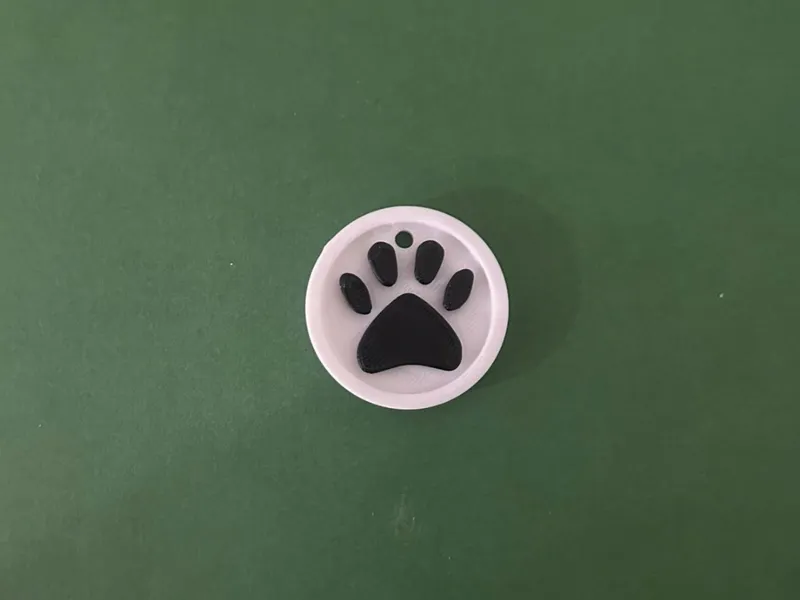 Llavero huella de perro/gato