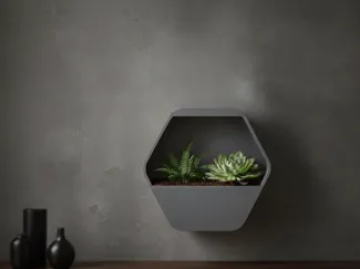 Zenith Hex-Pot