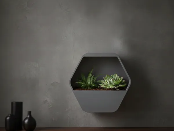 https://makerworld.bblmw.com/makerworld/model/US767dba1466c676/design/b0493f65f0f92fe2.png