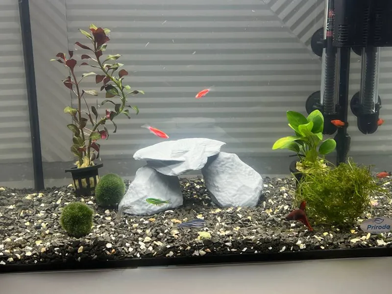 Aquarium stone cave