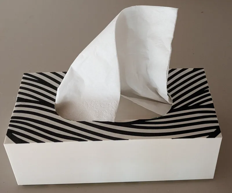 Zebra Tissue Box
