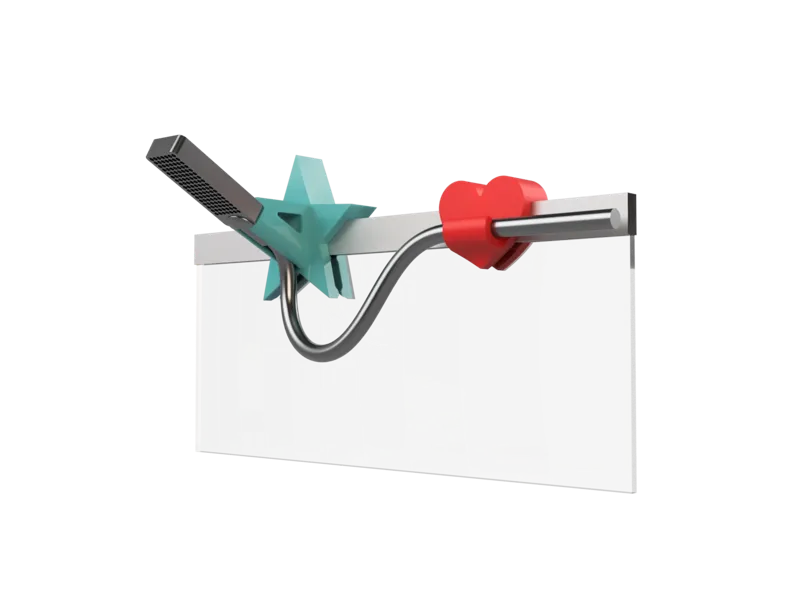 Shower holder