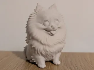Pomeranian (spitz) dog