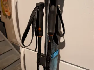 Modular Ski Strap