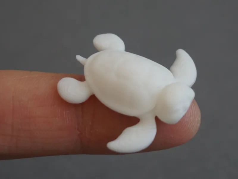 Turtle (8 min)