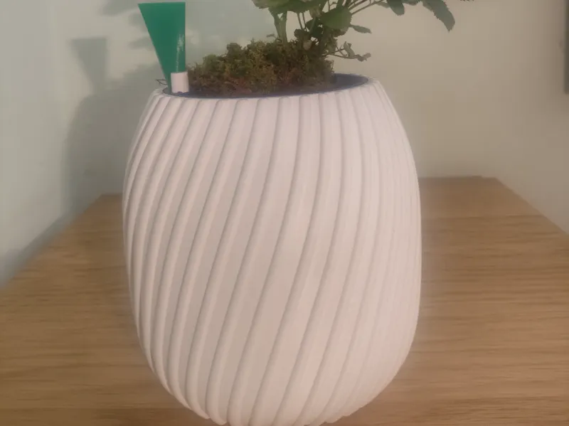 vaso autoirrigante