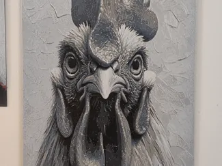 Chicken