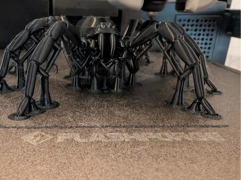 Realistic Spider