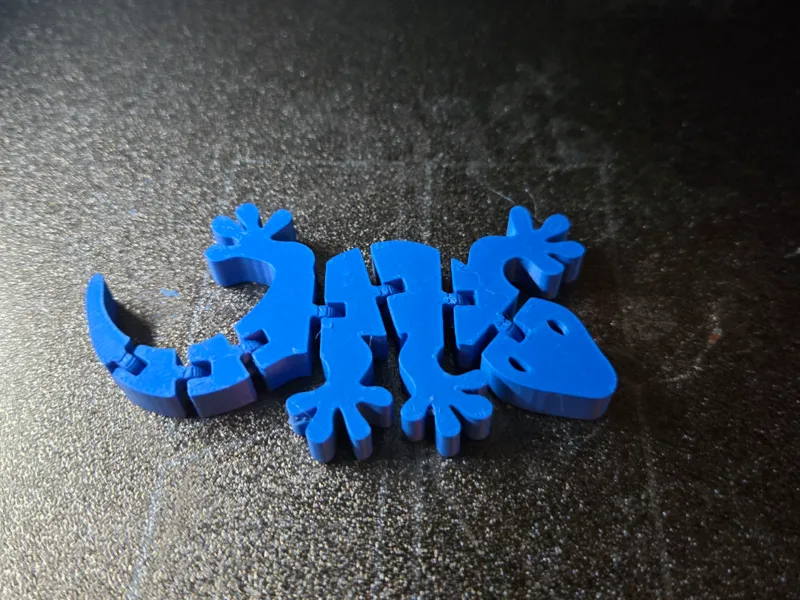 Flexi Gecko - Beweglicher Gecko – Komplett