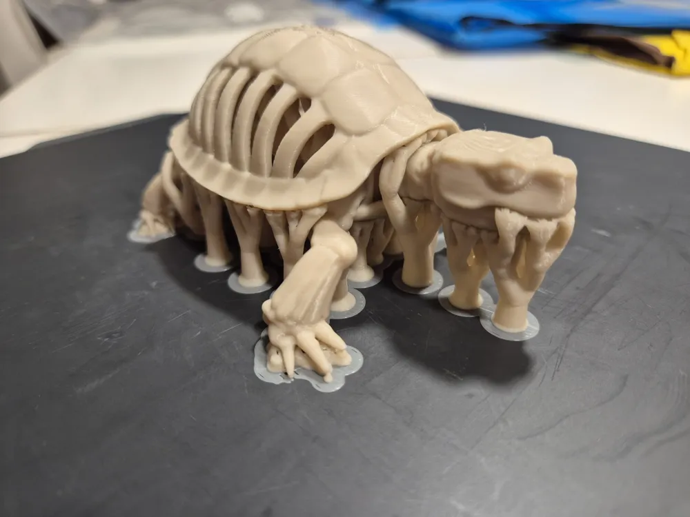 Turtle Skeleton Model Skeleton Turtle by Andrew86 MakerWorld: Download Free 3D Models