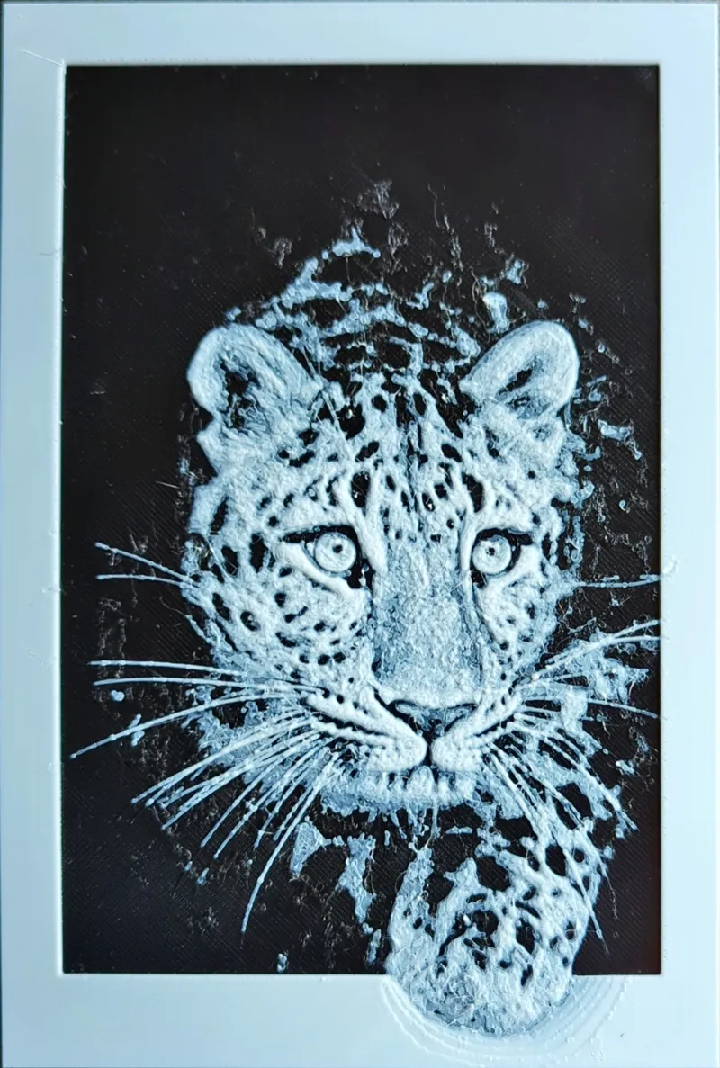 Leopard coming out of white border