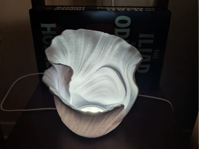 Vase with LED 001 hole