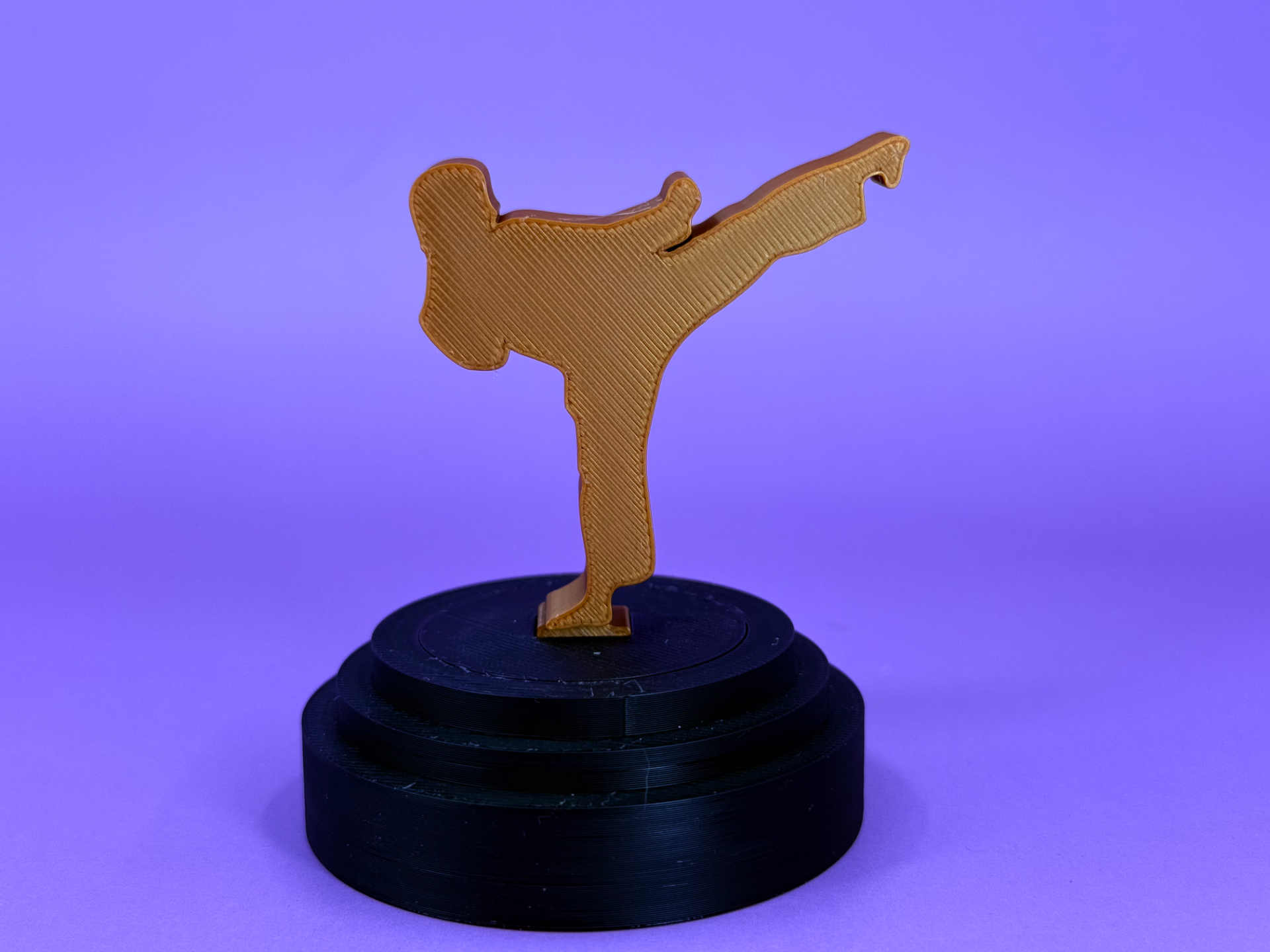 Karate chop_4 Trophy