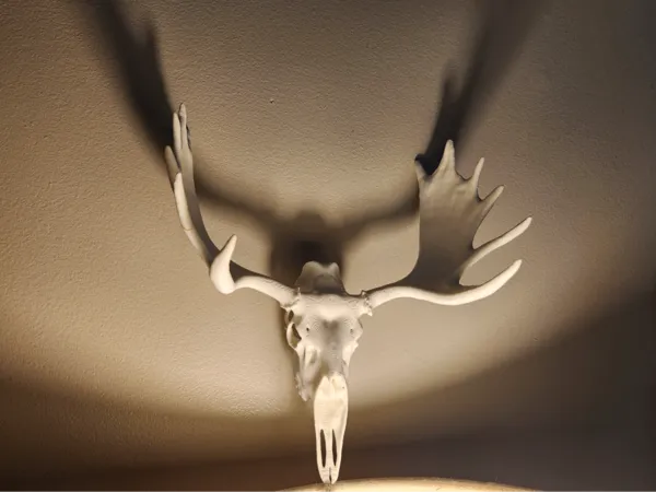 https://makerworld.bblmw.com/makerworld/model/US76c3b9d9479dbf/design/2025-02-21_acd1ce6dfbc0c.jpg