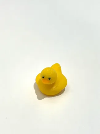 Lots and Lots of Little Ducks