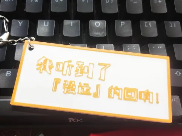 https://makerworld.bblmw.com/makerworld/model/US76cacf90621da7/design/2024-09-09_23b6e676c7bbe.jpg