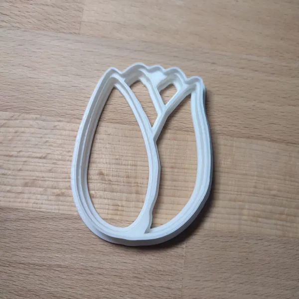 https://makerworld.bblmw.com/makerworld/model/US76cbc1502fa98d/design/2024-03-16_94550fec4a0b.jpg