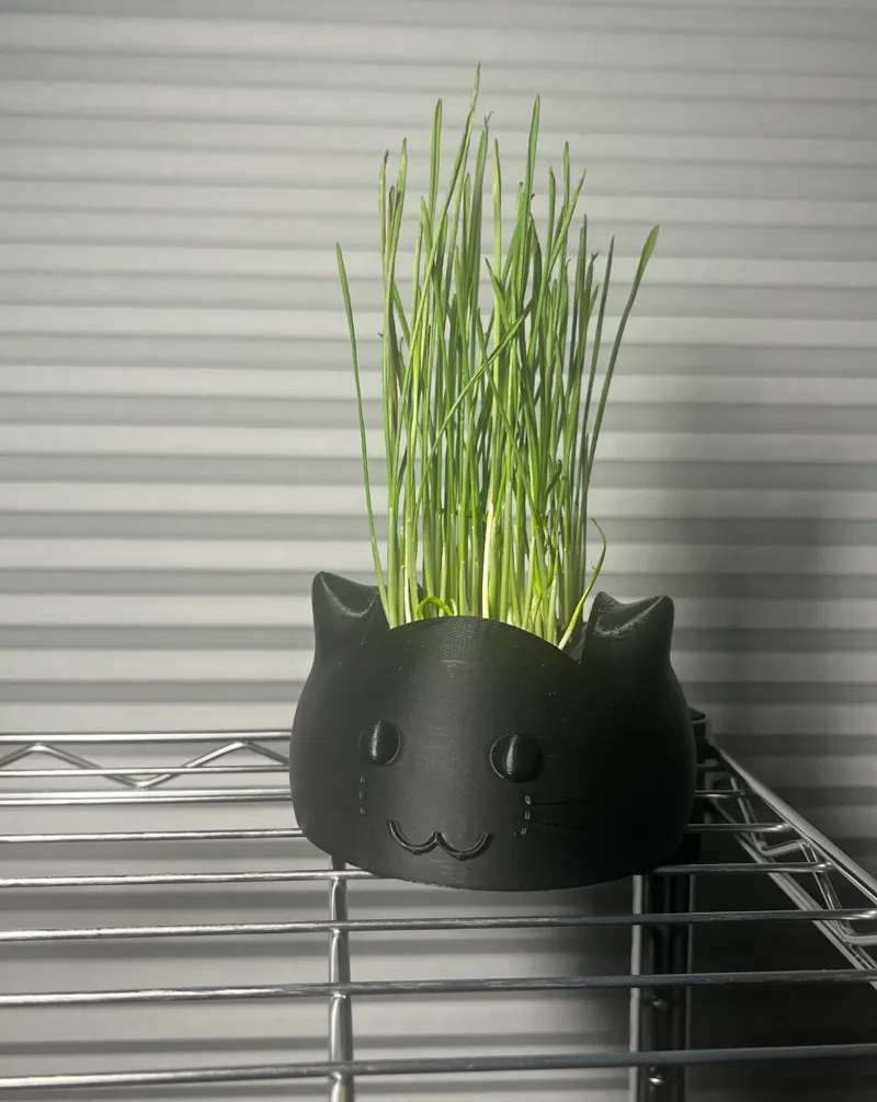 Cat Grass Grower