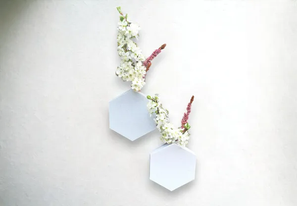 https://makerworld.bblmw.com/makerworld/model/US76d4b127e53834/design/2024-04-08_c11259e01b5fd.jpg