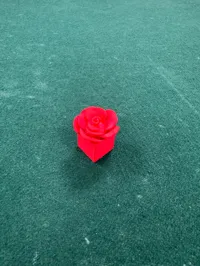 Mini plantes fidget — photo 2