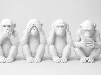 singe avec un téléphone  