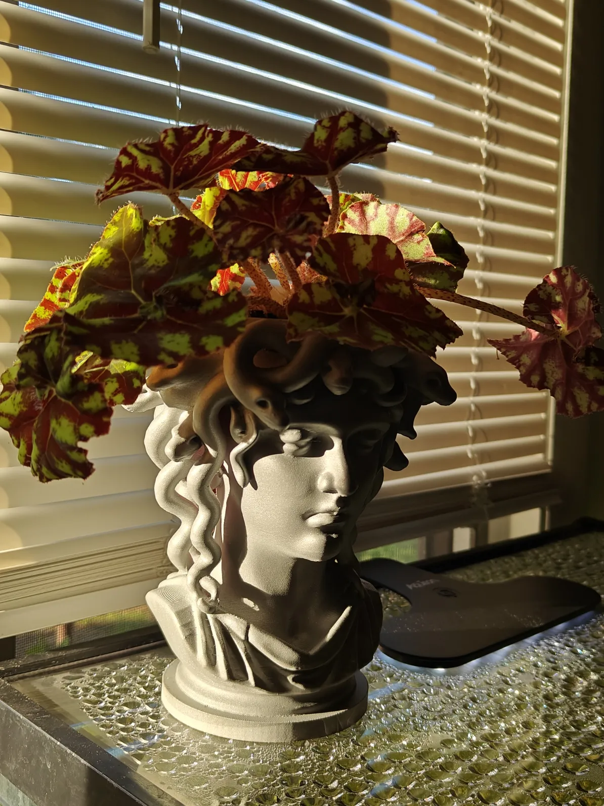 Medusa Planter – Serpentine Elegance view 4