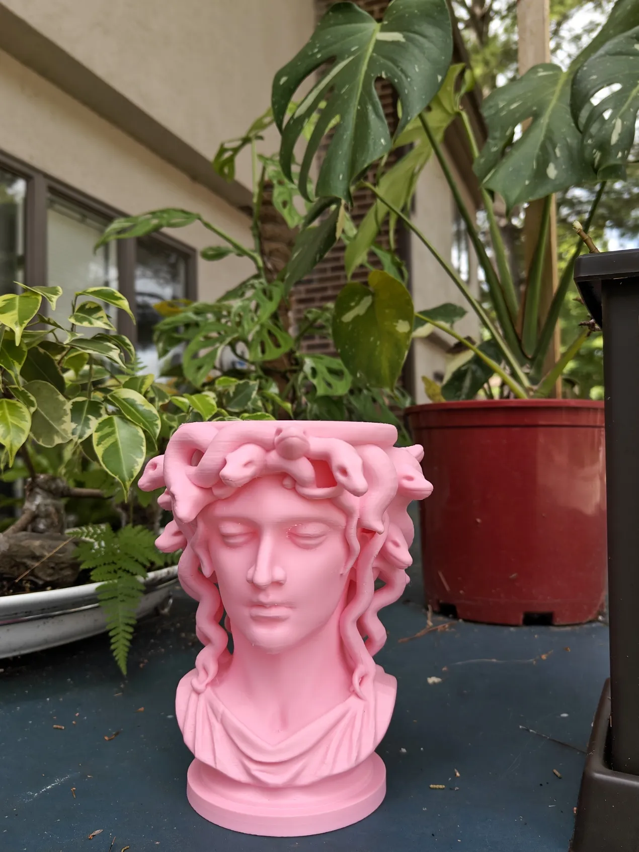 Medusa Planter – Serpentine Elegance view 3