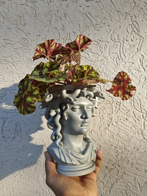 Medusa Planter – Serpentine Elegance view 2