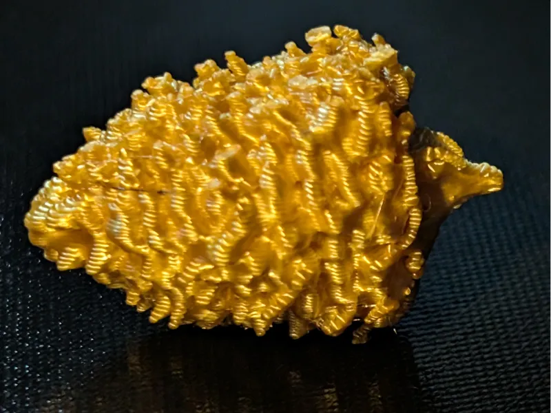 Golden-Weed-Nugget