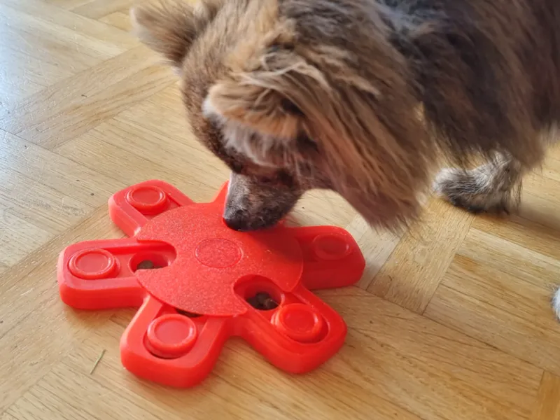 Advanced Pet Treat Puzzle