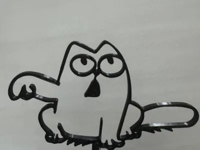 Gato
