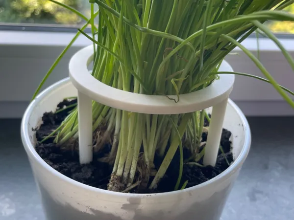 Anneau de tuteurage pour plante