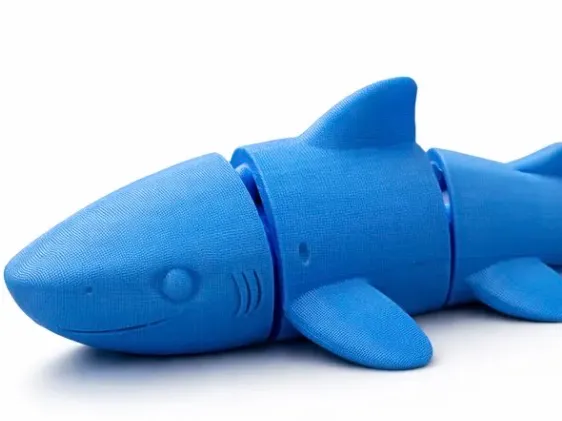 Lil shark