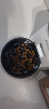 Compatible with Rojeco Automatic Feeder Slot