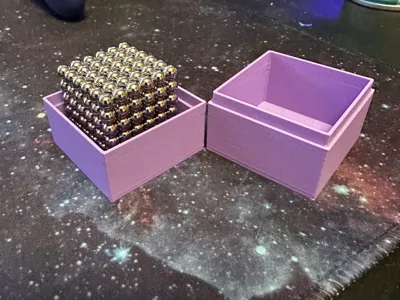BuckyBalls Case