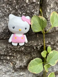Hello Kitty — photo 3