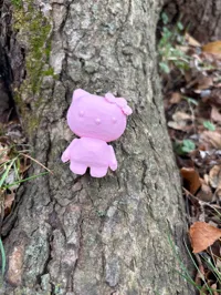 Hello Kitty — photo 6