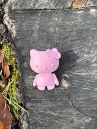 Hello Kitty — photo 5
